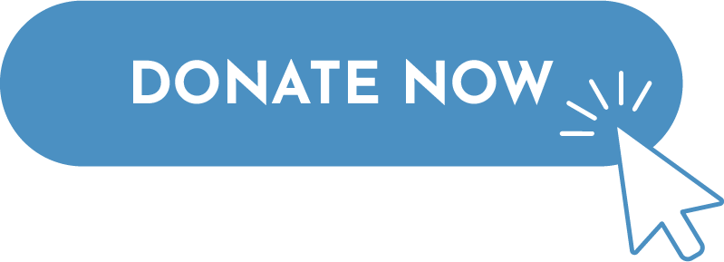 Graphic of a donate now button on a webpage