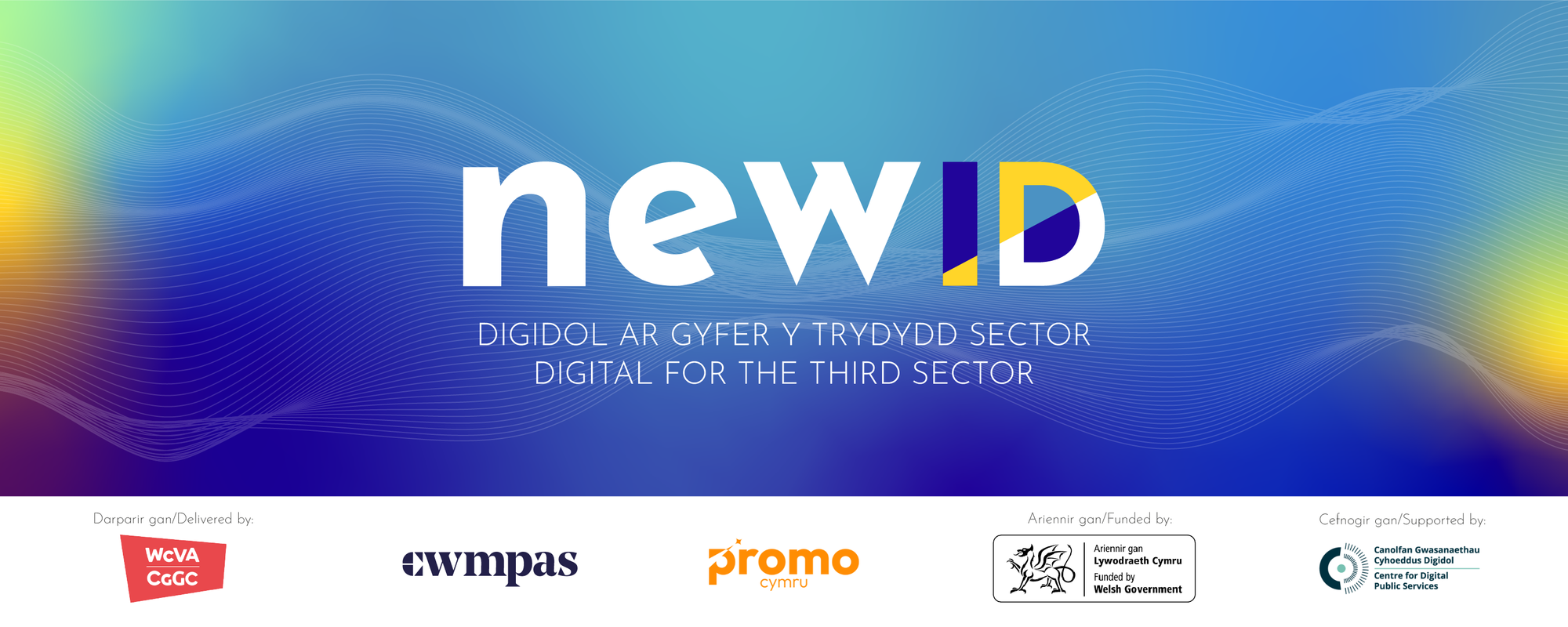 🚀 Newid's February Newsletter