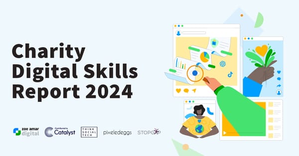 Charity Digital Skills Report 2024  